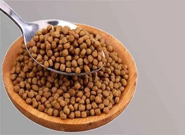 قیمت غذای ماهی قزل آلا + خرید باور نکردنی